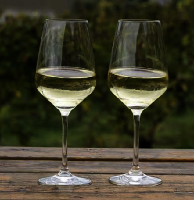 GLASS DRY WINE